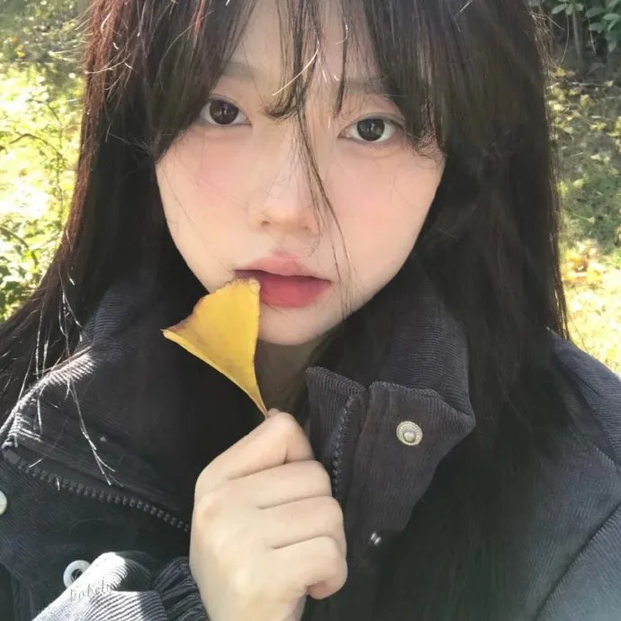中国机长