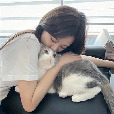 藏獒多吉